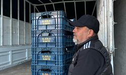 Adını dağlara değil, domates kasalarına yazdı: Kante sevgisi sınır tanımadı