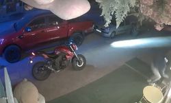 Alanya’da pes dedirten görüntü: Oyuncak ayı çalındı