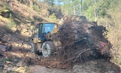 Antalya Büyükşehir ekipleri yağış sonrası yollarda seferber oldu