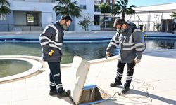 Antalya’da kış aylarında haşereyle mücadele sürüyor