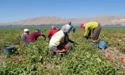 Antalya’daki üreticiler dikkat! Destekler yanabilir