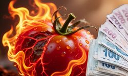 Antalya hal endeksi açıkalandı: Domates fiyatı yüzde 85 arttı!