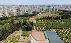 Antalya'nın tarım toprakları yok oluyor