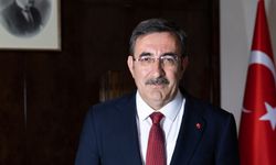 Cumhurbaşkanı Yardımcısı "Aziz milletimiz TMBB'de bu tür görüntüleri hak etmiyor"