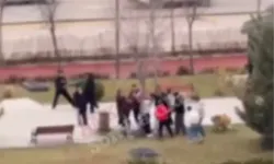 Çocuk demeye bin şahit ister! Arkadaşlarını ağaca bağlayıp işkence ettiler!