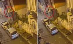 Eşinin çırpınışları yetmedi! Talihsiz düşüş anbean kameraya yansıdı