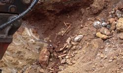 Güllük Caddesi'nde altyapı çalışmalarında insan kemikleri bulundu