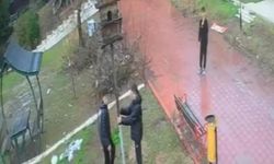 Dinazor Parkı'na gelen 4 çocuk yuvayı böyle yıktı!