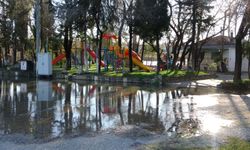 Yağışlar arttı, Manavgat Irmağı taştı: İşletmeler sular altında kaldı