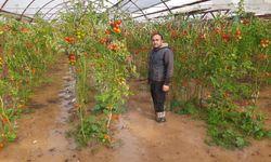 Kumluca’da hortum felaketi: Seralar yerle bir oldu