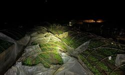 Kumluca'da çiftçiler felakete uyandı: Yağmur ve hortum seraları vurdu