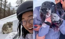 Leoparla selfie çekmek istedi: Kanlar içinde kaldı