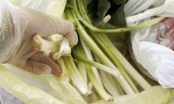 Pazı olarak aldıkları ürün tirşik otu çıktı: Fenalaşan eşine ilk müdahaleyi doktor eşi yaptı