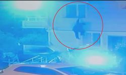 Pencereden sinekliği söküp kaçtı, son görüntüleri ortaya çıktı!