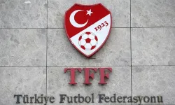 TFF yüzlerce kişiyi PFDK'ye sevk etti!