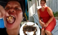 Vlog sırasında ölümcül hata: Zehirli yengeç 2 can aldı