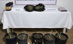 Ekipler kolları sıvadı: Aksu'da yasaklı madde operasyonu!