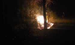 Alanya’da korkutan yangın! Ekiplerin müdahalesi f*ciayı önledi