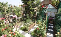 Antalya’da ‘yeşil’ yarışma başlıyor: Büyük ödül 20 bin TL