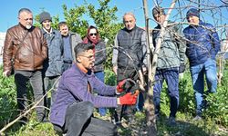 ATASEM’de ağaç budama teknikleri sahada öğretildi