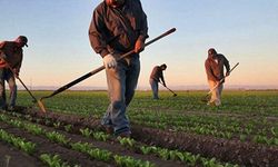 Bakan Yumaklı çiftçilere müjdeyi verdi: Ödemeler bugün başlıyor