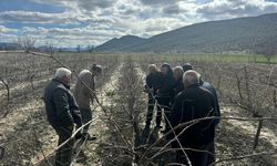 Korkutelili üreticilere tam destek: Budama eğitimi verildi