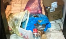 Yıllardır süren komşu ter*rü kamerada: Dışkı döktü, biber gazı sıktı!