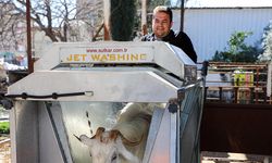 Antalya'nın Döşemealtı ilçesinde hayvancılığa teşvik: Ücretsiz ilaçlama!