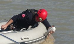 Misinalara dolanan martı 1 saatlik çalışmayla kurtarıldı