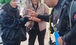 En mutlu anları kabusa döndü: Evlilik yüzüğü denize düştü!