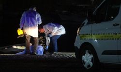 Falezlerde facia: Müzisyen hayatını kaybetti