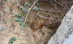 Bahçede korkunç manzara: Kaf*tası ve kemikler çıktı