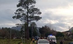 Dengesini kaybedip kamyonet kasasından düştü, hayatını kaybetti