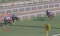 Kavurma skandalında yeni gelişme: Atın sahibine ceza!