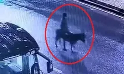 Milyonluk vurg*nda kuyumcuyu soyup eşekle kaçtı, istenen ceza belli oldu