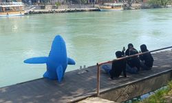 Mutlu olmak istedi: Köpek balığı kostümüyle sokağa indi