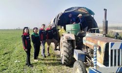 Verimi düşen hayvanlar için devlet müdahelesi: Islah çalışması başlatıldı