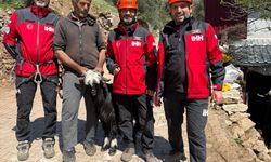 Alanya'da arama kurtarma ekibinden zorlu keçi operasyonu