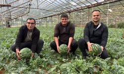 Antalya’da örtü altı karpuz üretimi Türkiye pazarında öne çıkıyor