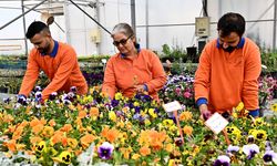 Muratpaşa Belediyesi’nden gençlere çiçeklerle sanat yarışması