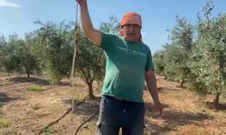 Karpuz serasında tehlikeli karşılaşma: Çiftçi yılanı etkisiz hale getirdi