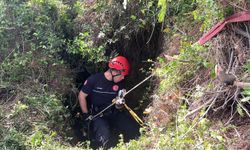 Dağlık alanda acı son: 9 aylık inek mağarada telef oldu