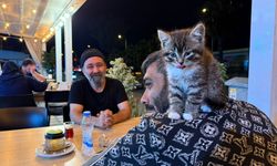 Madde bağımlısıydı, hayvan sevgisiyle hayata tutundu: Kedi kurtarıcısı oldu!