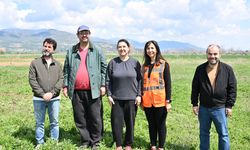 Korkuteli’nde bir ilk: İpekböcekçiliği için dut fidanı dağıtımı başladı