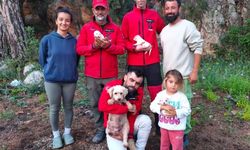 Kumluca’da ekipler seferber oldu: 6 yavru köpek annesine kavuştu