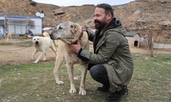 Rus güzele gönlünü kaptıran kangala tepki: “Bizim erkeklerimiz böyledir”