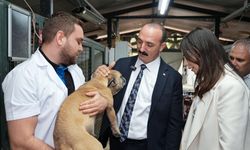 Konyaaltı Belediyesi’nden patili dostlara 130 kilogram mama desteği