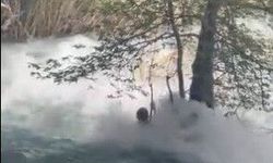 Son anları kaydedildi! Irmak keyfi felakete dönüştü