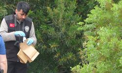 Ormanlık alanda korkutan olay: Uyuyor sandıkları adam öl* ç*ktı!