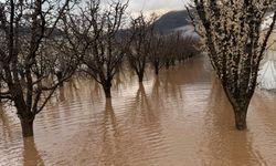 Yağış Elmalı'yı kötü etkiledi: Tarım arazilerini sel bastı!
